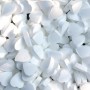 Les mini bonbons coeur menthe