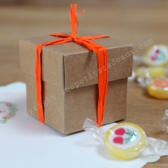 La petite boite cube kraft