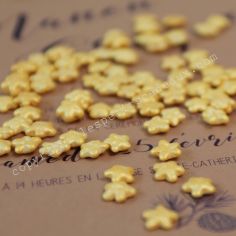Mini étoiles or au chocolat (sachet de 100g)