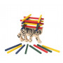 Petit jeu de poche "Le Tigre"